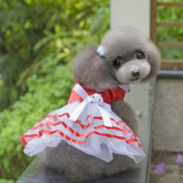 Summer Dog Lace Tullle Dress Pet Dog Clothes For Small Dog Party Birthday Wedding Bowknot Dress Puppy Costume Spring Pet Clothes
