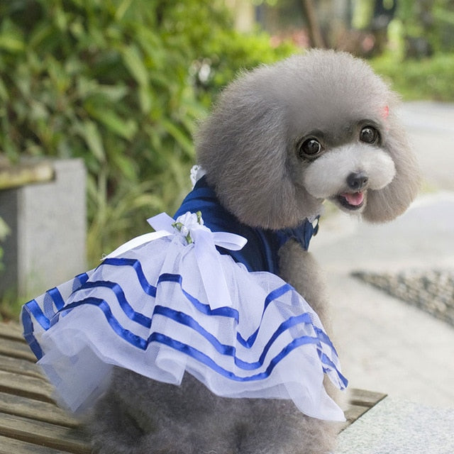 Summer Dog Lace Tullle Dress Pet Dog Clothes For Small Dog Party Birthday Wedding Bowknot Dress Puppy Costume Spring Pet Clothes