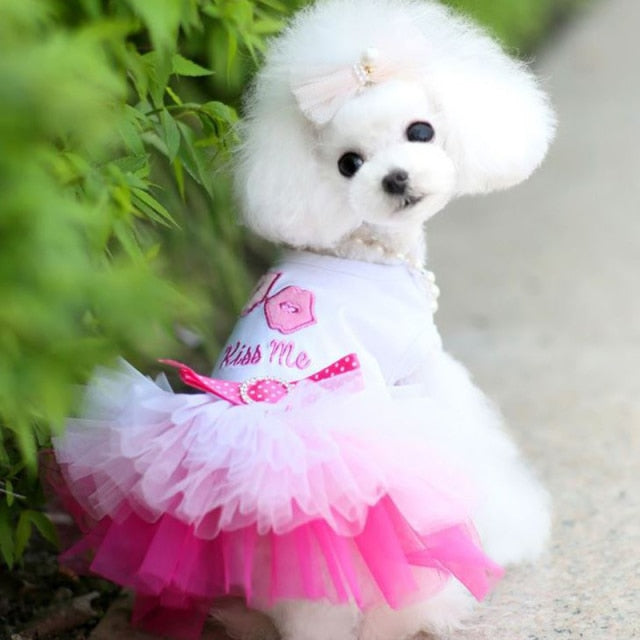 Summer Dog Wedding dress