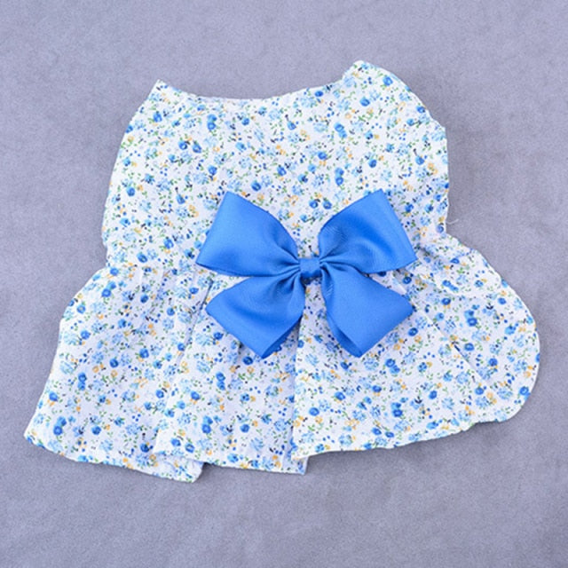Summer Dog Wedding dress