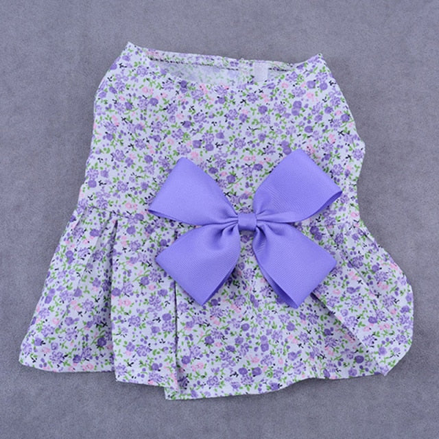 Summer Dog Wedding dress