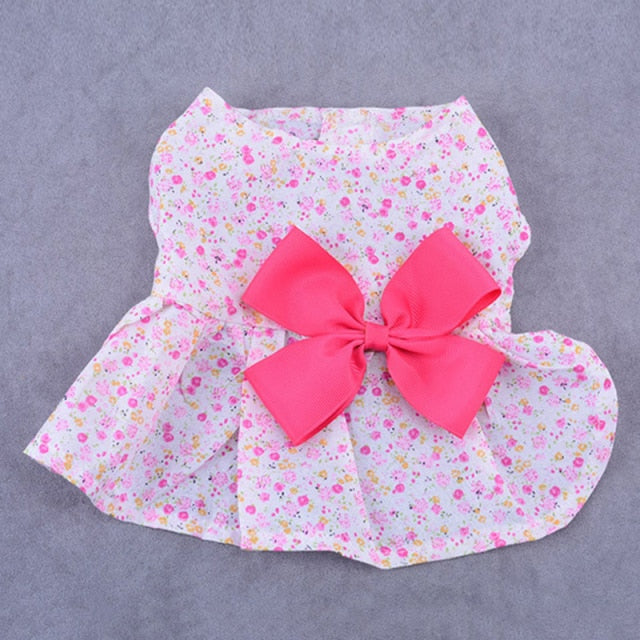 Summer Dog Wedding dress