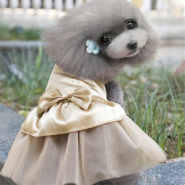 Summer Dog Dress Tullle Dress Pet Dog Clothes For Small Dog Party Wedding Bowknot Dog Dress Puppy Costume Spring Pet Clothes