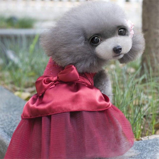 Summer Dog Dress Tullle Dress Pet Dog Clothes For Small Dog Party Wedding Bowknot Dog Dress Puppy Costume Spring Pet Clothes