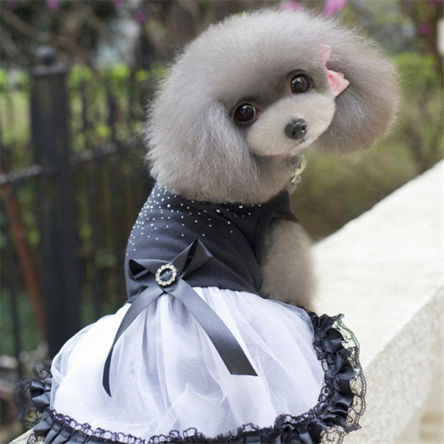 Summer Dog Dress Tullle Dress Pet Dog Clothes For Small Dog Party Wedding Bowknot Dog Dress Puppy Costume Spring Pet Clothes