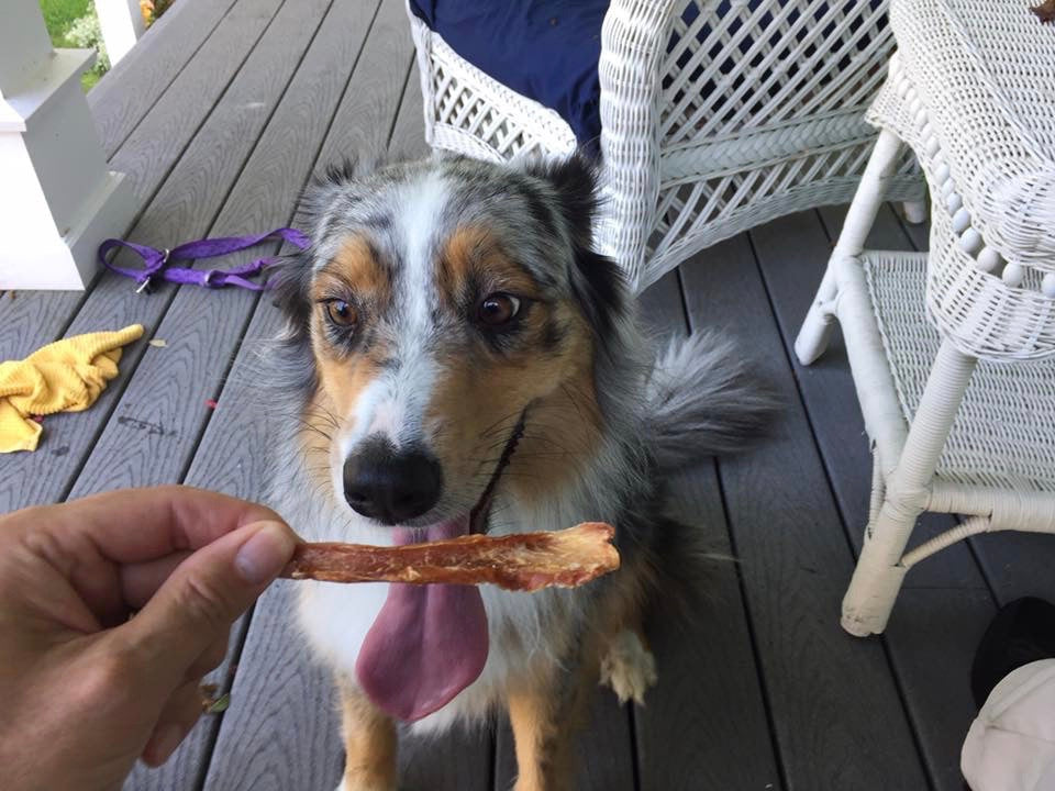 Dog Chicken, Turkey and Liver Treats