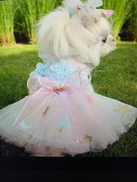 Wedding or Special Occasion