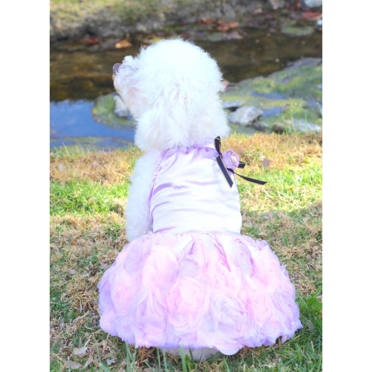 Princess Flower Dog Dress
