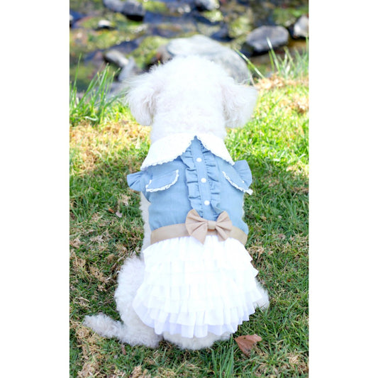 Cowgirl Dog Dress