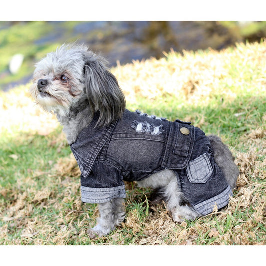 Pup-itude Denim Dog Jacket