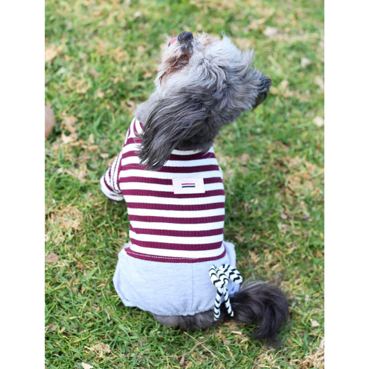 French Stripe Parisian Dog Pajamas