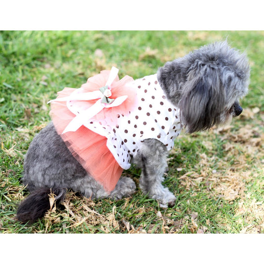 Polka-Dot Sun Dress