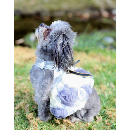 Princess Flower Dog Dress