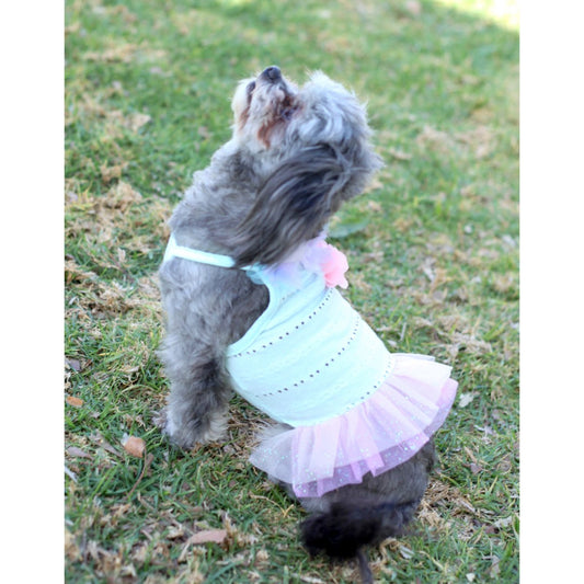 Sunshine TuTu Dog Dress