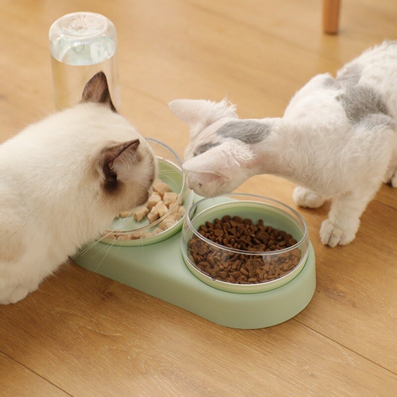 Pet Dog Cat Automatic Feeder Bowl for Dogs Drinking Water Bottle Kitten Bowls Slow Food Feeding Container Supplies